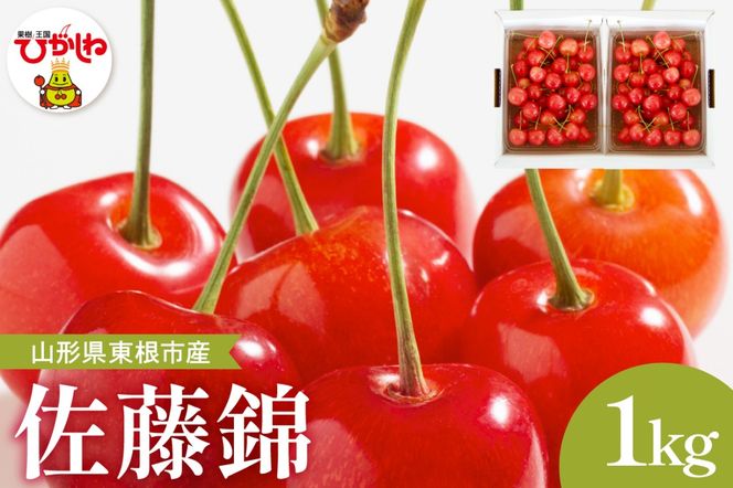 【2026年産】さくらんぼ「佐藤錦」秀品 1kgバラ詰め (500g×2パック) Lサイズ以上 安達農園提供 山形県 東根市 hi037-013