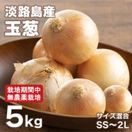 淡路島玉葱 5kg 【栽培期間中、無農薬栽培】サイズ混合SS～2L 玉ねぎ