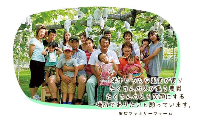 【田口ファミリーファーム】旬のぶどう(4房~8房) N053-YZD0143