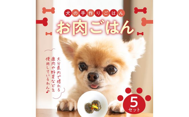 【R15006】ドッグフード 無添加 お肉ごはん5点セット 【犬の手作りごはん】