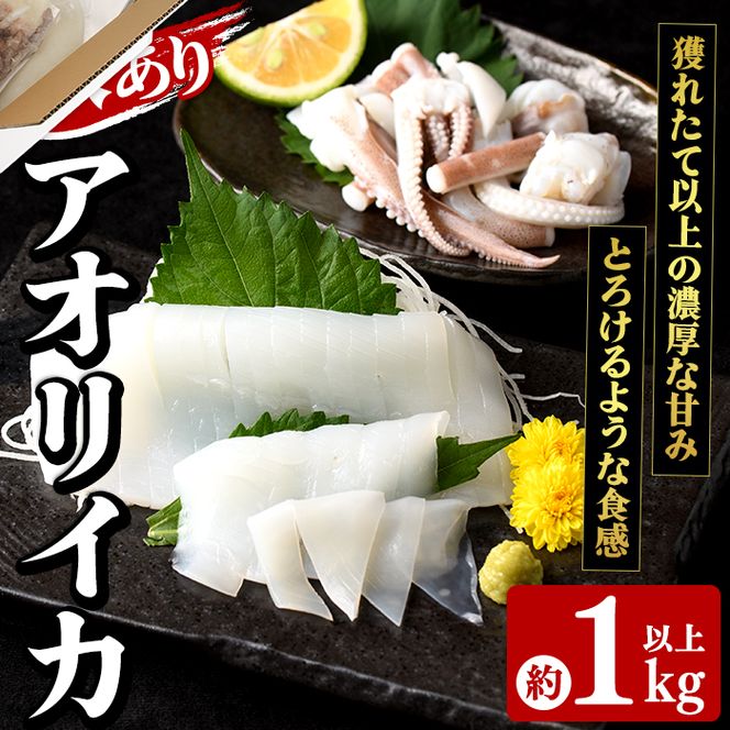 訳あり！アオリイカ(約1kg以上・2～3杯) 鹿児島県 阿久根市 いか イカ 烏賊 魚介 海鮮 海産物 冷凍 お刺身 お造り 真空パック 新鮮 おつまみ 晩酌 酒の肴 【さるがく水産】akn028-54