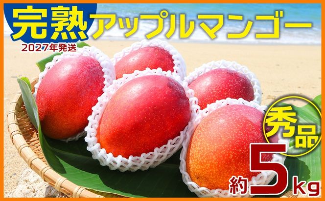 【2027年発送】大ボリューム完熟アップルマンゴー秀品・約5kg農園から直送！