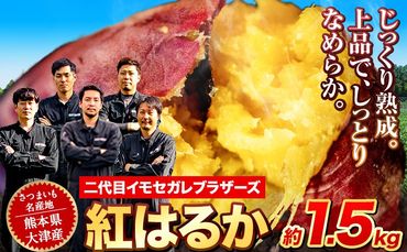 熊本県大津町産 イモセガレブラザーズの紅はるか 約1.5kg （大中小不揃い）《10月末-11月末頃出荷(土日祝除く)》二代目イモセガレブラザーズ さつまいも 芋 紅はるか スイートポテト 干し芋にも 特産品 熟いも さつま芋 秋 旬---fn_2broben_ec10_23_4000_1500g---