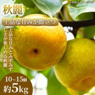 【上品な甘みが際立つ】熊本県産 秋麗 10～15個(約5kg) 1箱 秋麗 梨 フルーツ 甘い 濃厚 農家直送 ギフト 贈答用 家庭用 お取り寄せ 熊本県