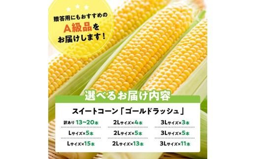 ※内容量が選べる※【令和9年産】スイートコーン「ゴールドラッシュ」 【 新鮮 農家直送 トウモロコシ 産地直送 季節限定 期間限定 宮崎県産 九州産 】 [B09101 B09102 B09103 B09104 B09105 B09106 B09107 B09108 B09109]