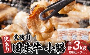 《業務用・訳アリ》国産牛　小腸　3kg 372013_HM180