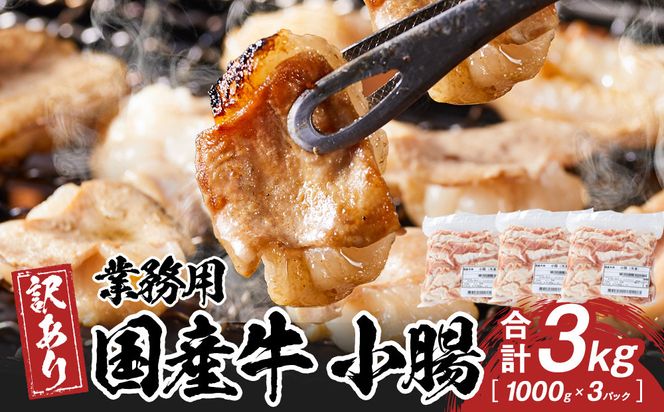 y쌧szsƖpEAtY@@3kg 372013_HM180