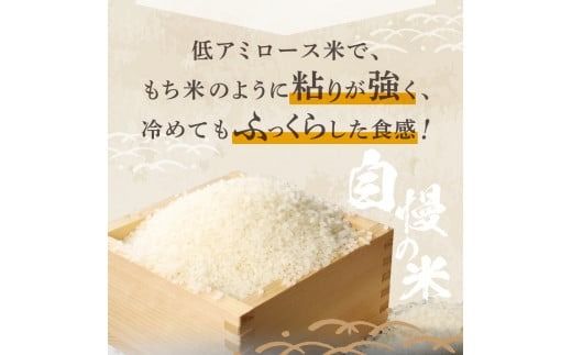 【令和8年産】富士吉田の美味しいお米 ミルキークイーン 【選べる種類・容量】 白米 無洗米 3kg 5kg 6kg 10kg 富士吉田産 新米 米低アミロース米 山梨 富士吉田