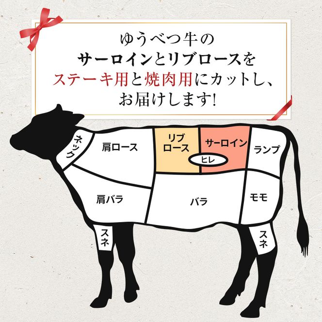 北海道産 ゆうべつ牛 ステーキ・焼き肉セット B 約800g 赤身 牛肉 冷凍 湧別牛 冷凍 国産 遺伝子 オホーツク お肉 焼肉 バーベキュー 