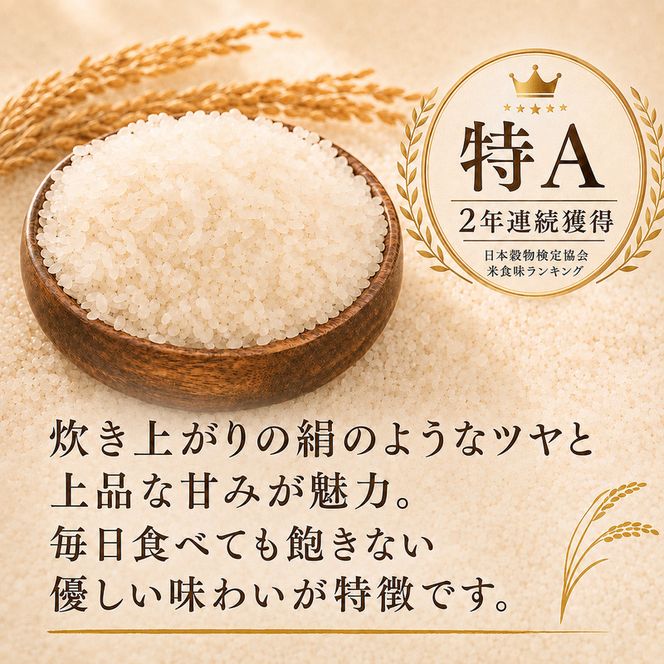 米 静岡きぬむすめ 20kg（5kg×4） お米 白米 コメ 精米 きぬむすめ 静岡県産 袋井市 静岡県