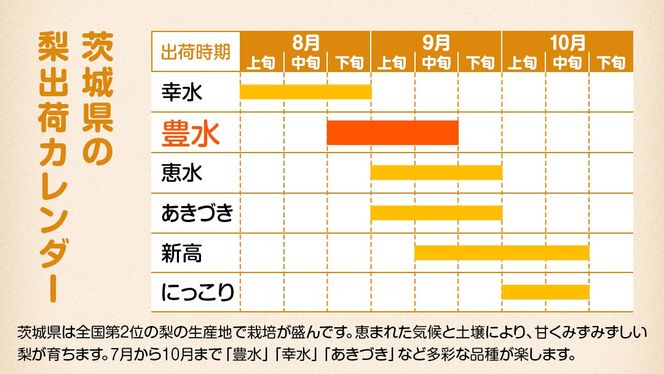 梨 豊水 約10kg 20～32個【2025年9月から発送開始】（茨城県共通返礼品：石岡市産）田舎の頑固おやじが厳選！ 梨 豊水 高糖度 ギフト 甘い 美味しい フルーツ デザート