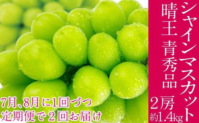 2026年予約受付中【2回定期便】 シャインマスカット 晴王 7月8月に1回づつ出荷 2房 約1.4kg  人気 岡山県産 種無し 皮ごと食べる みずみずしい  フレッシュ 晴れの国 おかやま 果物大国 ハレノフルーツ