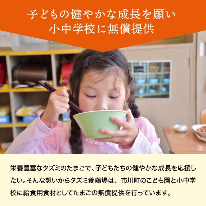 【累計600万個突破！】★TVで紹介されました★【定期便】タズミの卵Ｍサイズ（20個×3か月）015AB02N.／こだわり卵 市川町産 兵庫県産 たまご たまごかけご飯 玉子 生卵 鶏卵 タマゴ 卵焼き TKG 3か月 定期便