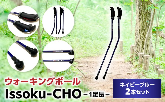 y啪啪szyR17015zEH[LO Issoku-CHOi1j lCr[u[ 2{Zbg