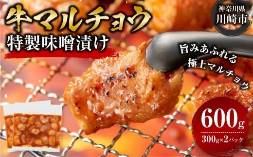 牛マルチョウ 味噌漬け 600g ( 300g × 2 ) とろける脂 小分け 使いやすい 味付き 調理便利 野菜炒め ホルモン炒め 訳あり 不揃い 小腸 冷凍 配送時期が選べる 個包装 冷凍保存 アウトドア キャンプ おすすめ 人気