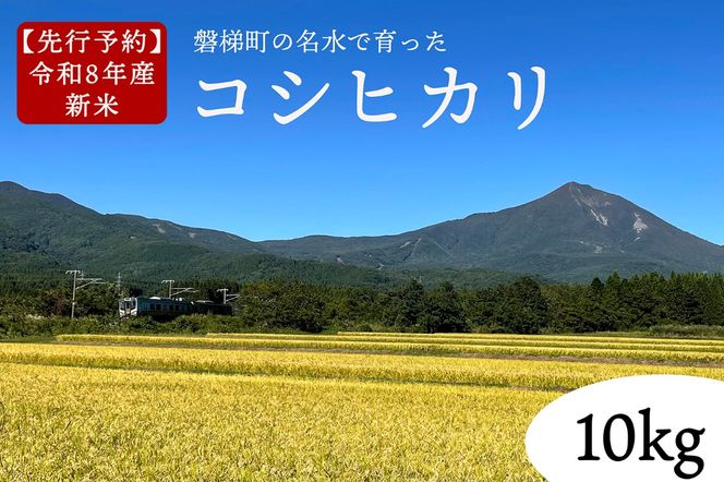 【先行予約】【令和8年産・新米】コシヒカリ10kg　磐梯町の名水で育ったコシヒカリ　11月中旬発送　会津産　磐梯町産　福島県産　精米