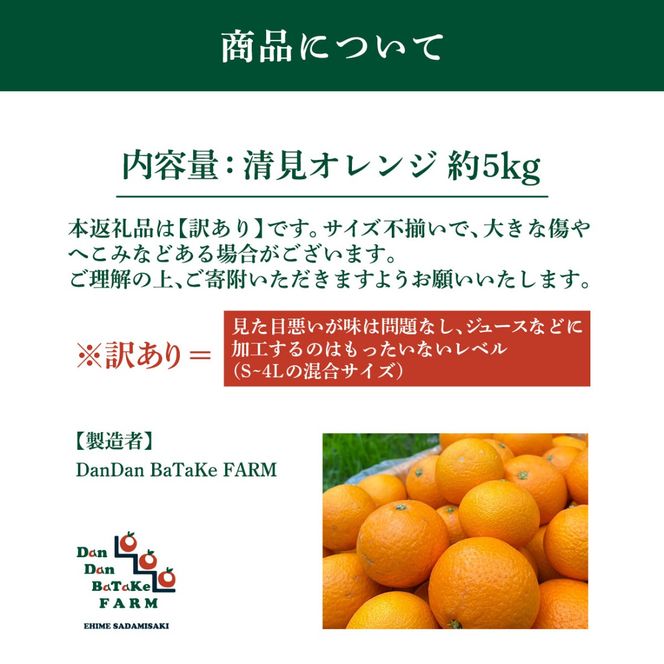 【先行予約】【訳あり】清見オレンジ 約5kg　※2027年3月中旬より順次発送予定 IKTAU015