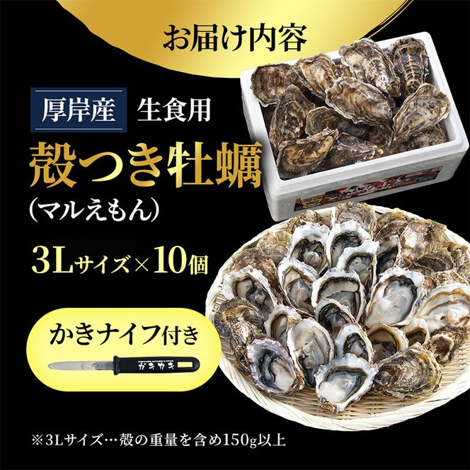 北海道厚岸産 生食用　殻付カキ3Lサイズ10個　マルえもん 魚貝類 海の幸 海のミルク 海鮮 国産 北海道産 オイスター つまみ お酒 あて 肴 生牡蠣 メルマガ掲載商品1 
