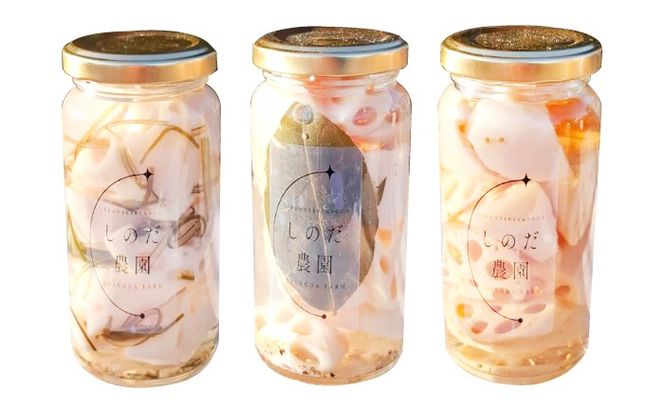 レンコンビネガーサラダ 3本（和風・洋風・昆布） ビネガーサラダ 常備菜 おかず 愛西市 / しのだ農園-SHINODA FARM-[AECE008]