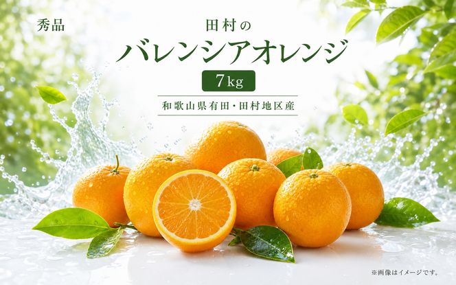 秀品　田村のバレンシアオレンジ　約7kg　※2027年6月下旬頃～7月上旬頃 順次発送予定【uot872】