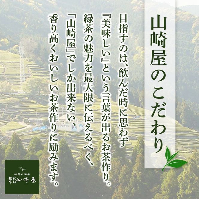 水出し ティーバッグ 150個 お茶 日本茶 煎茶 静岡県産 静岡茶 飲料 おすすめ 水出し おちゃ 静岡県 藤枝市  [PT0168-000003-X2]