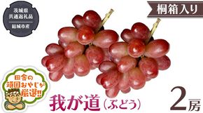 【 桐箱入り 】我が道 （ ぶどう ） 2房 【2025年9月から発送開始】（茨城県共通返礼品 [ぶどう]：結城市産）  ぶどう 我が道 果物 フルーツ 季節 旬 [BI395-NT]