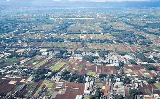 伝統的な「落ち葉堆肥農法」で育てた野菜セット ５kg程度（年に一度12月16日頃発送）冬野菜 やさい ベジタブル おまかせ 落葉 FAA-028