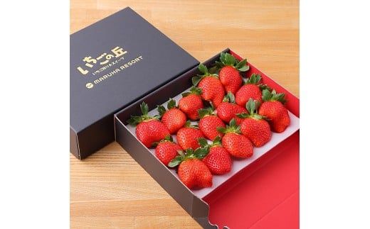 まるは食堂 マルハリゾート いちごの丘『いちご狩り』ペアご招待券　※大人(中学生以上)2名様用 いちご いちご狩り 章姫 かおり野 甘い 完熟 新鮮 穫れたて 香り豊か 自然