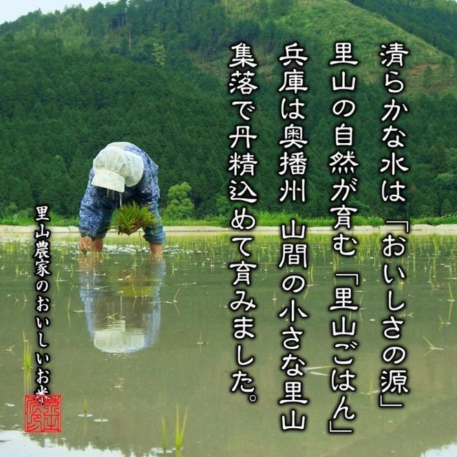 米 【令和8年産 予約受付】 キヌヒカリ 10kg 精米 奥播州源流 芥田川産 芥田川 農家直送 10キロ 国産米 きぬひかり 贈り物 喜ばれる お米ギフト おいしいお米 お祝い 内祝い 贈答 美味しい おいしい 