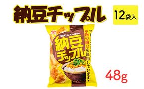 納豆チップル(48g) 12袋入｜駄菓子 お菓子 スナック菓子 おやつ おつまみ 昭和 まとめ買い 業務用 景品 やおきん リスカ 菓道
