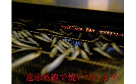 焼うるめ500g　袋入り