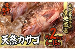 天然 カサゴ (約2kg・計6-15匹) 直送 産直 漁師 魚 鮮魚 天然 カサゴ 白身魚 獲れたて 刺身 煮つけ フライ 唐揚げ 塩焼き 冷蔵 豊後水道 鮮魚 大分県 佐伯市【CS15】【 (有)丸昌水産】