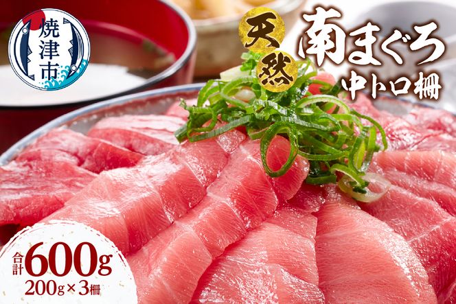 a23-040　天然 ミナミマグロ 中トロ 柵 刺身 焼津 海の極 計600g 200g×3