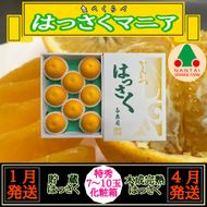 1・4月発送 全2回 定期便 はっさく マニア 貯蔵 ＆ 木成完熟 特秀 7 ～ 10玉 和歌山 有田 南泰園 BS180
