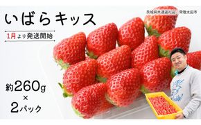 【 先行予約 】 茨城県品種 いばら キッス ( 2パック × 1箱 )【 2027年1月から発送開始 】 （常陸太田市 共通返礼品 ) 約 260g × 2 パック いばらキッス いばらきっす いちご 数量限定 果物 くだもの フルーツ 苺 イチゴ 期間限定
