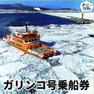 20-307 ガリンコ号3 IMERU 冬期運航 流氷クルーズ乗船券