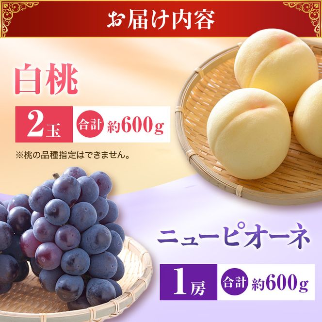 【2027年先行受付】 白桃 ニューピオーネ 約1.2kg セット 桃 2玉 ぶどう 1房 岡山県産  御中元 ギフト 御礼 プレゼント 御礼 御祝 御供 果物 くだもの フルーツ もも モモ 葡萄 ブドウ