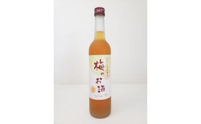 【数量限定】濃いめのお酒 飲み比べ 500ml×2本セット（苺のお酒/梅のお酒） 洋酒 リキュール 