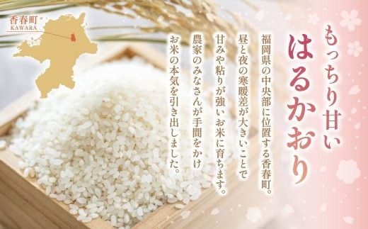 【 2ヶ月毎3回定期便 】 【 無洗米 】 はるかおり 20kg （ 5kg × 4袋 ） 計60kg お米 米 こめ コメ 白米 白飯 飯 ご飯 おにぎり 和食 国産 福岡県産 定期 定期配送