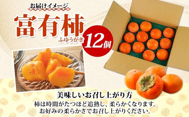 富有柿 12個 柿 かき 大玉 完熟 フルーツ くだもの 果物 秋 旬 味覚 追熟 甘い おやつ デザート 贈り物 ギフト 産地直送 にわか茶屋 送料無料 岐阜県 美濃市 ≪お届け時期：2026/11/1～2026/12/31≫