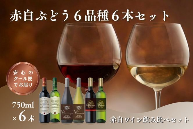 【C8-025】W203 赤白ぶどう6品種 6本セット