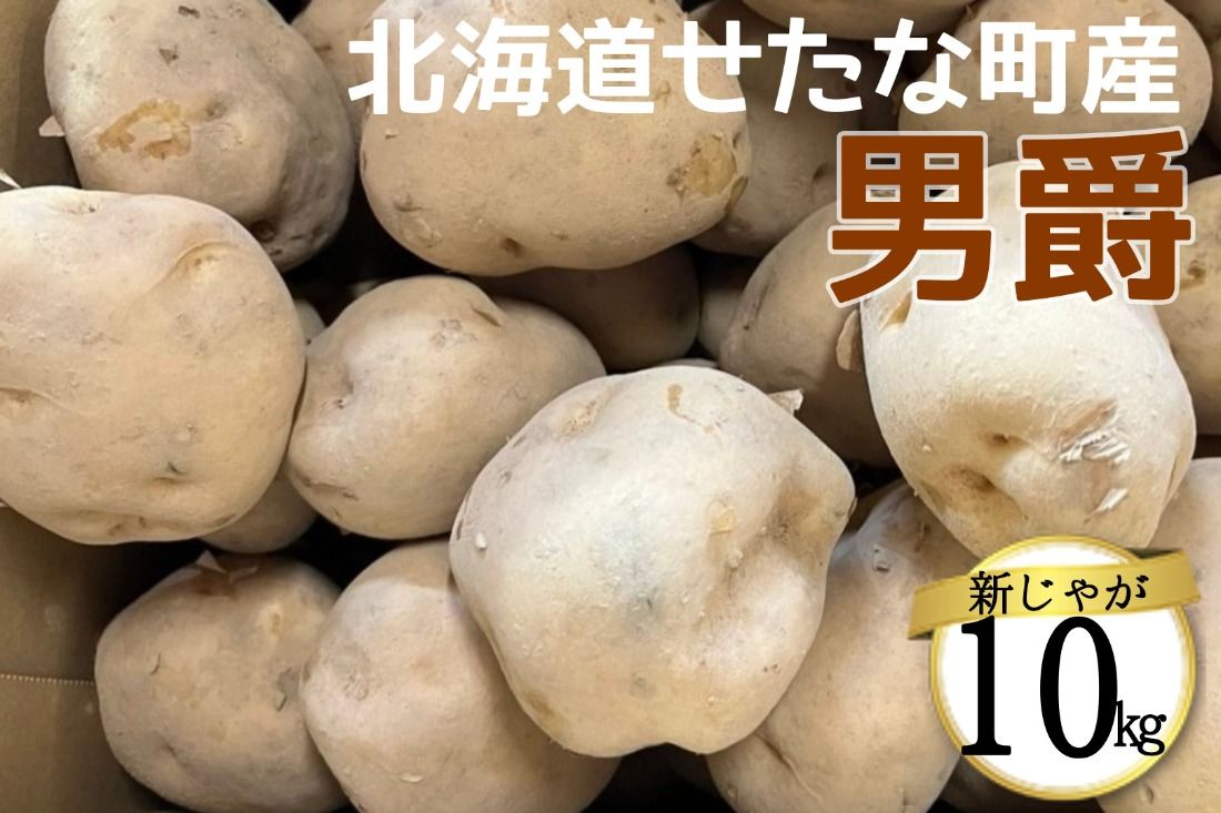 北海道せたな町産じゃがいも 男爵10kg