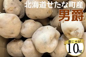 【2026年10下旬から順次発送】【令和8年産】北海道 せたな町産 男爵 10kg 男爵いも 芋 新じゃが じゃがいも 野菜 ふるさと納税