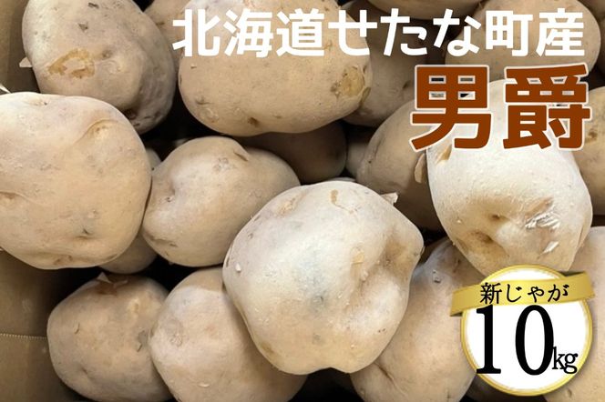 【2026年10下旬から順次発送】【令和8年産】北海道 せたな町産 男爵 10kg 男爵いも 芋 新じゃが じゃがいも 野菜 ふるさと納税
