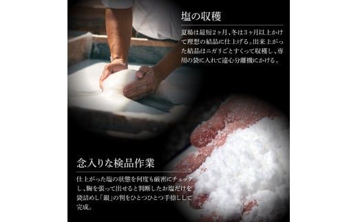 銀象ソルト Ginzo-Salt お試しサイズ３種類セット 塩 しお 調味料 天日塩 完全天日塩 国産 高知県産 ソルト ミネラル 健康 お試し セット スタンダード ミート【塩杜氏銀象】 [BQBX001]