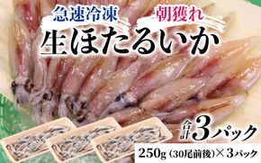 生ホタルイカ急速冷凍とオリジナル万能酢味噌付き【カネツル砂子商店】 [A-002012] 