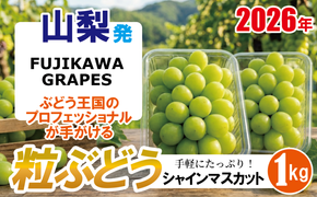 手軽に楽しむ《徳用・粒ぶどう》 【シャインマスカット】 1.0kg（パック包装） 【2026年発送分 先行予約】- FUJIKAWA GRAPES -