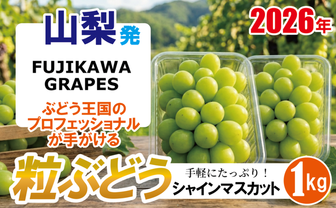 手軽に楽しむ《徳用・粒ぶどう》 【シャインマスカット】 1.0kg（パック包装） 【2026年発送分 先行予約】- FUJIKAWA GRAPES -