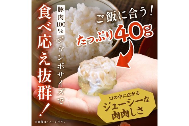 京都府産三元豚の手作りシュウマイ　6個×3p しゅうまい 焼売 惣菜 おかず　TN00023