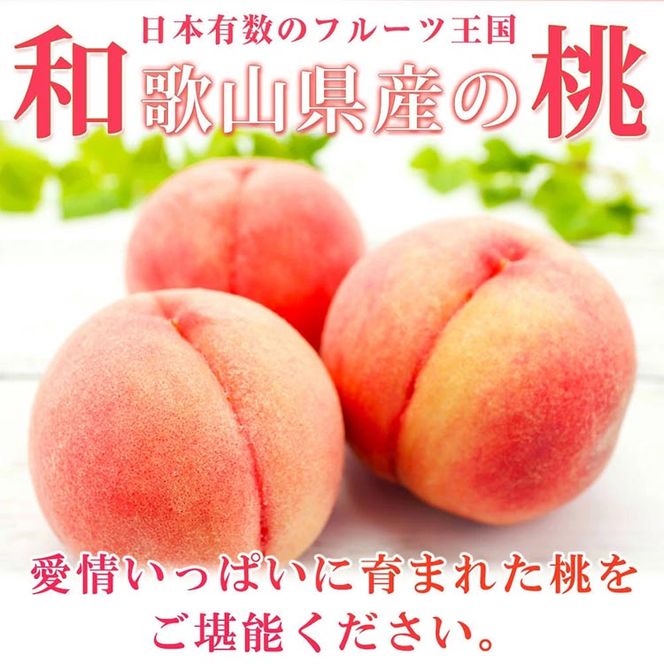 〈定期便〉【7・9・10月 全3回】紀州和歌山産旬のフルーツセット(桃・ピオーネ・ひらたねなし柿) ｜フルーツ ふるーつ 果物 くだもの 詰め合わせ 果物定期便 もも ぶどう かき 国産 産地直送 美浜町